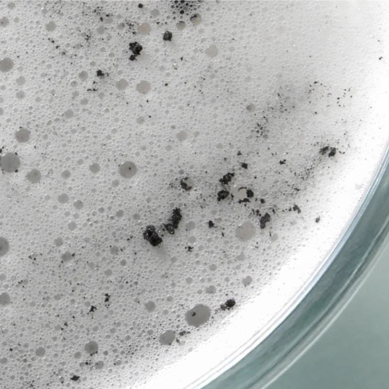 [Abib] Pore Clay Pack Cleanser Heartleaf Charcoal Foam 120ml