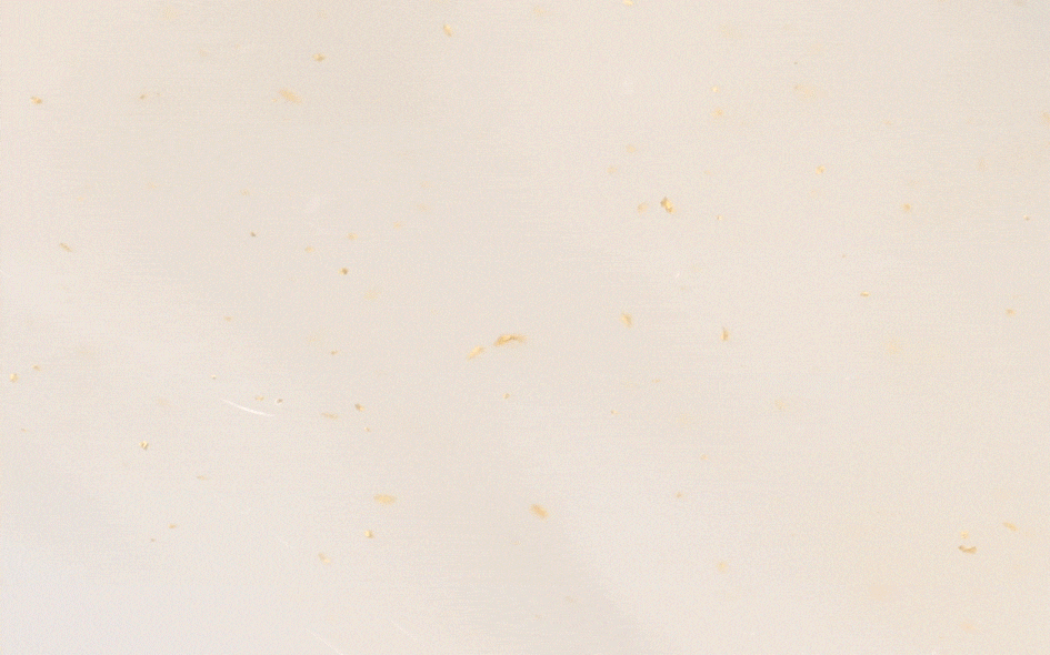 [VT Cosmetics] Black Truffle Reedle Shot 100 50ml