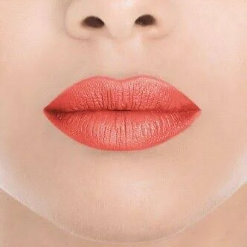 Ofra Long Lasting Liquid Lipstick 8gm